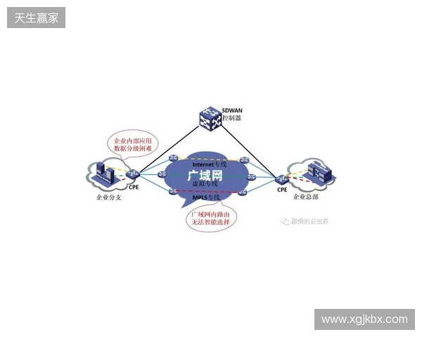贝锐蒲公英游戏联机方案深度测评:2025年SD-WAN技术如何重新定义跨平台游戏体验